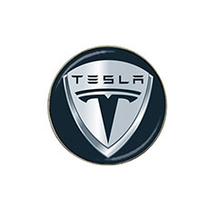 Golf Ball Marker: Tesla